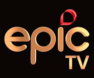 EPIC TV IPTV Subscription | One Month - 12 Months